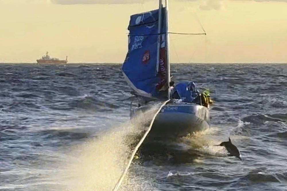 Le mini 6,50 escorté par les dauphins